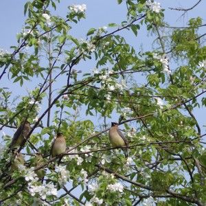Meet your Posher, Wendy